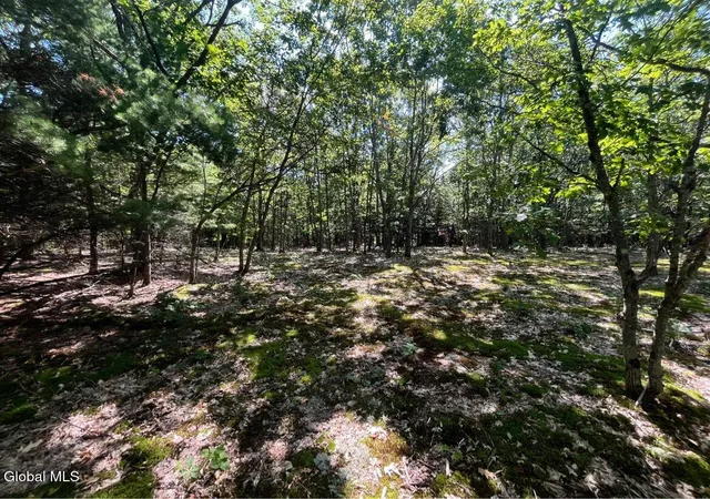 Photo 4 of Sale Pending at 192 Irish Hl Rd, East Berne, NY 12059 | MLS# 202625118 | Listing updated on 2026-09-08
