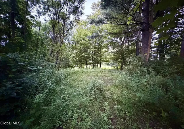 Photo 1 of Land for sale at 2 3811 Spring Ave, Gloversville, NY 12078 | MLS# 202624837 | Listing updated on 2026-08-26