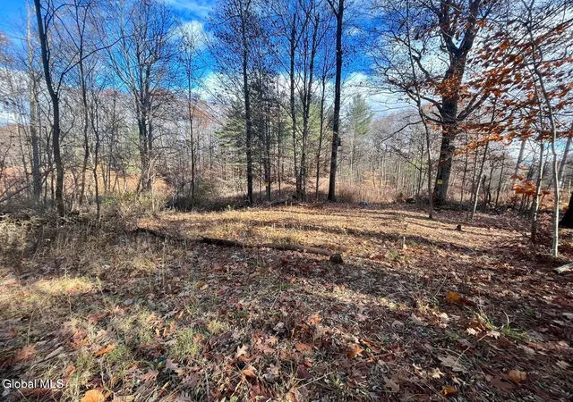 Photo 2 of Land for sale at 2 3811 Spring Ave, Gloversville, NY 12078 | MLS# 202624837 | Listing updated on 2026-08-26