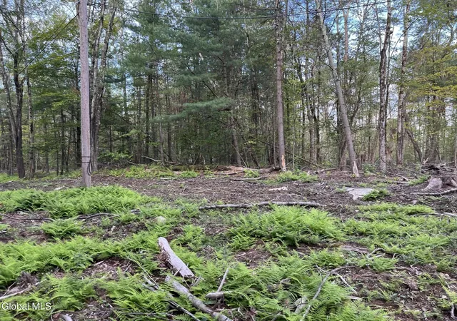 3rd image of 192 Crandall Rd, Grafton, NY 12138 | MLS# 202624601
