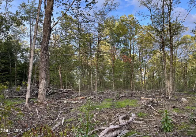 3rd image of 204 Crandall Rd, Grafton, NY 12138 | MLS# 202624602