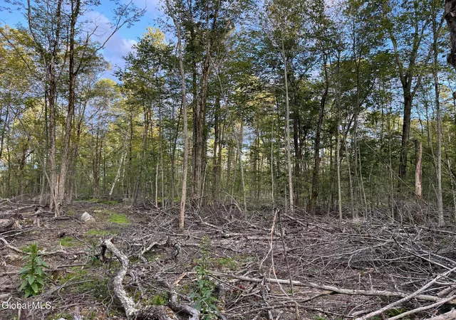 4th image of 204 Crandall Rd, Grafton, NY 12138 | MLS# 202624602