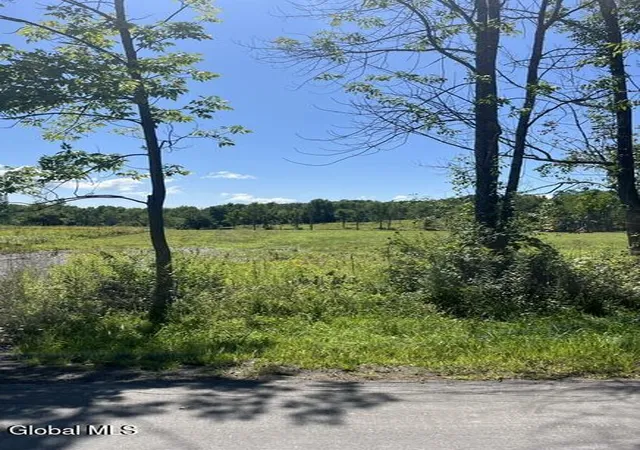 Photo 1 of Land for sale at 190 Curry Hill Rd, Carlisle, NY 12160 | MLS# 202624635 | Listing updated on 2026-09-14