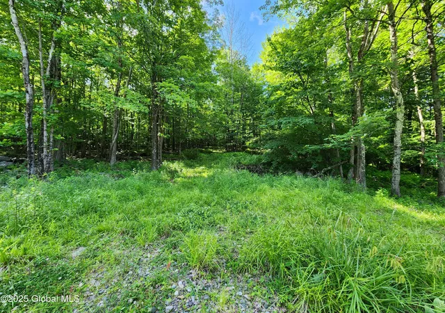 Photo 4 of Sale Pending at 140 Roaser Rd, Sand Lake, NY 12153 | MLS# 202624621 | Listing updated on 2026-09-29