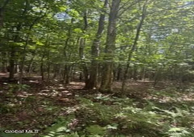 Photo 17 of Land for sale at 3006 County Hwy 107, Broadalbin, NY 12010 | MLS# 202624808 | Listing updated on 2026-08-26