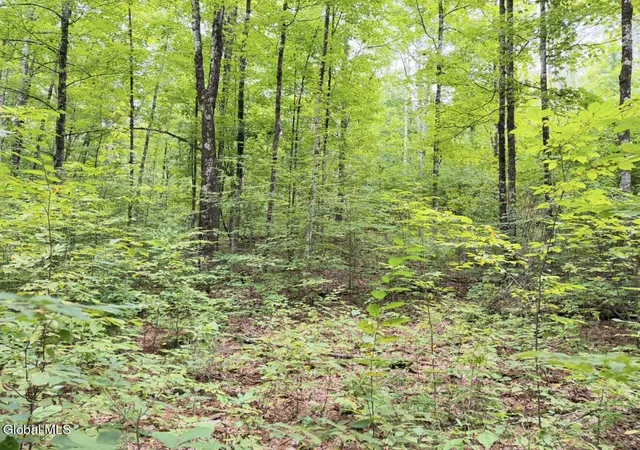 Photo 1 of Land for sale at 0 Middle Rd/e Off, Hebron, NY 12865 | MLS# 202624934 | Listing updated on 2026-08-31