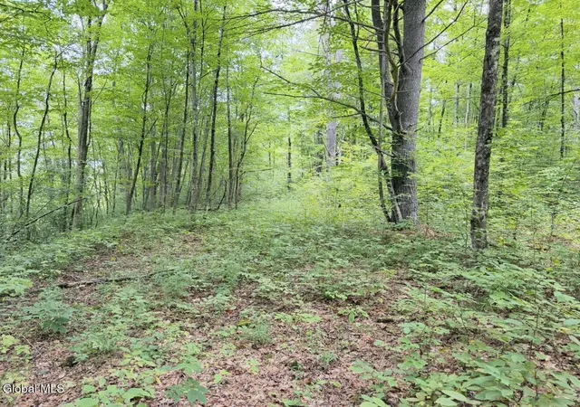 Photo 2 of Land for sale at 0 Middle Rd/e Off, Hebron, NY 12865 | MLS# 202624934 | Listing updated on 2026-08-31