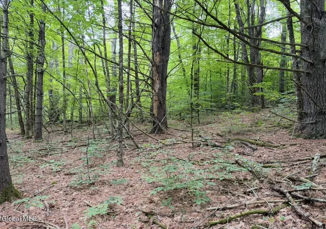 Photo 3 of Land for sale at 0 Middle Rd/E Off, Hebron, NY 12865 | MLS# 202624934 | Listing updated on 2026-08-31