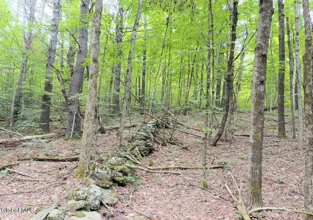 Photo 4 of Land for sale at 0 Middle Rd/E Off, Hebron, NY 12865 | MLS# 202624934 | Listing updated on 2026-08-31