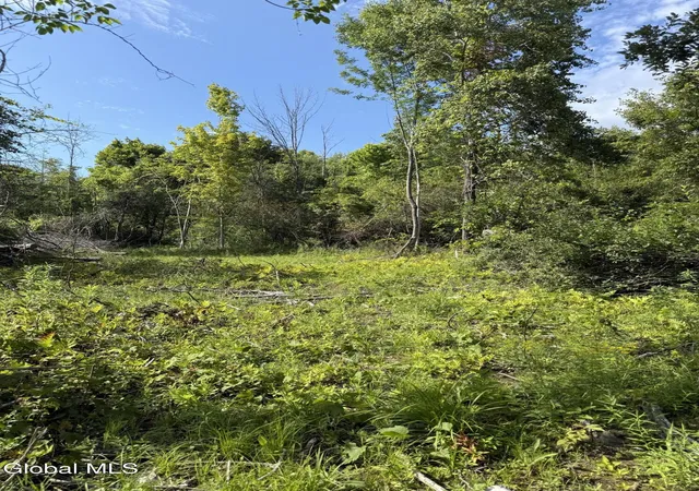 Photo 3 of Land for sale at 21 Wilson St, Gloversville, NY 12078 | MLS# 202624769 | Listing updated on 2026-08-25