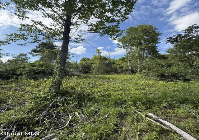 Photo 3 of Land for sale at 21 Wilson St, Gloversville, NY 12078 | MLS# 202624769 | Listing updated on 2026-08-25