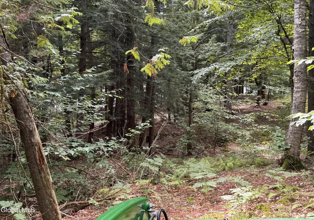 Photo 3 of Sale Pending at 0 Charley Hl Rd, Schroon Lake, NY 12870 | MLS# 202625133 | Listing updated on 2026-10-05
