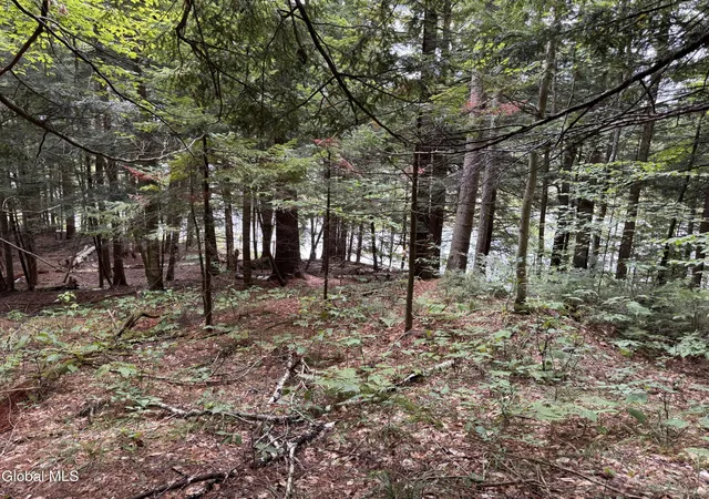 Photo 4 of Sale Pending at 0 Charley Hl Rd, Schroon Lake, NY 12870 | MLS# 202625133 | Listing updated on 2026-10-05