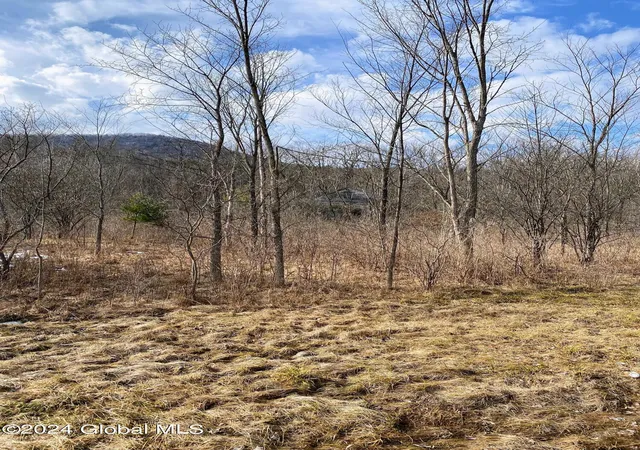 Photo 1 of Land for sale at 890 Altamont Rd, Altamont, NY 12009 | MLS# 202625132 | Listing updated on 2026-09-15
