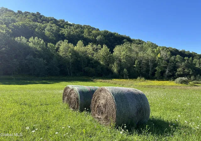 Photo 3 of Sale Pending at 711 Gifford Hollow Rd, Berne, NY 12023 | MLS# 202625084 | Listing updated on 2026-09-13