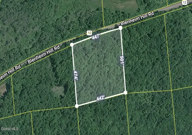 Photo 3 of Land for sale at L227 Blenheim Hill Rd, Blenheim, NY 12131 | MLS# 202625082 | Listing updated on 2026-08-30