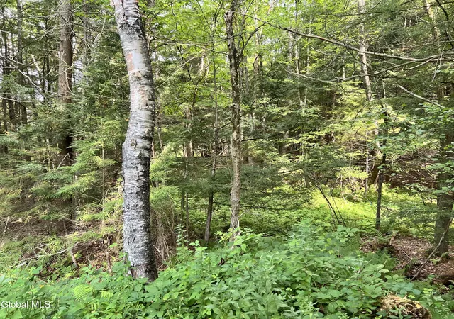 Photo 3 of Sale Pending at 03 Faber Rd, Galway, NY 12025 | MLS# 202625129 | Listing updated on 2026-09-18