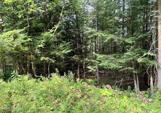 Photo 4 of Sale Pending at 03 Faber Rd, Galway, NY 12025 | MLS# 202625129 | Listing updated on 2026-09-18
