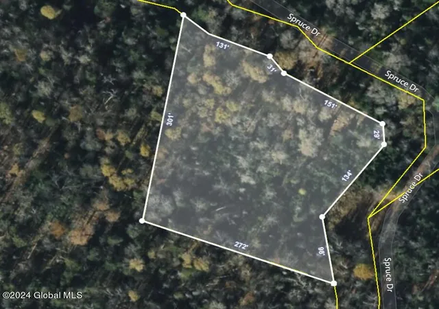 Photo 4 of Land for sale at 26 Spruce Dr, Indian Lake, NY 12842 | MLS# 202625108 | Listing updated on 2026-08-31