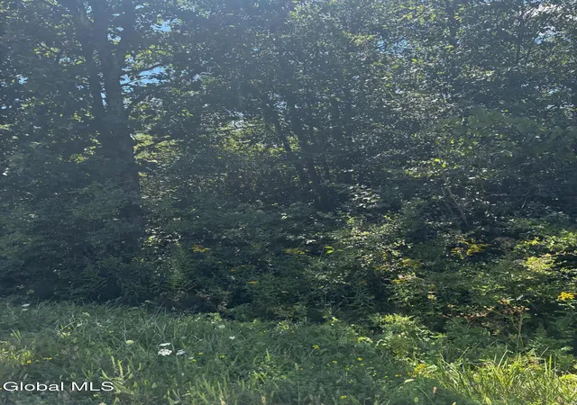 Photo 2 of Land for sale at 00 Duane Dr, Johnstown, NY 12095 | MLS# 202625124 | Listing updated on 2026-08-31