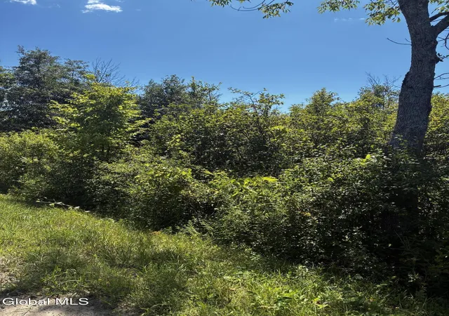 Photo 3 of Land for sale at 00 Duane Dr, Johnstown, NY 12095 | MLS# 202625124 | Listing updated on 2026-08-31