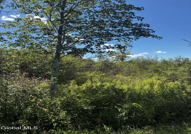 Photo 3 of Land for sale at 00 Duane Dr, Johnstown, NY 12095 | MLS# 202625124 | Listing updated on 2026-08-31