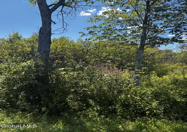 Photo 4 of Land for sale at 00 Duane Dr, Johnstown, NY 12095 | MLS# 202625124 | Listing updated on 2026-08-31
