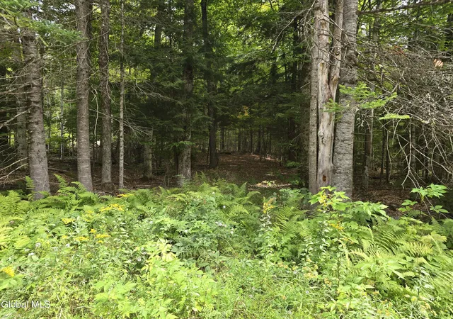 Photo 2 of Land for sale at 608 S Shore Rd, Speculator, NY 12164 | MLS# 202625157 | Listing updated on 2026-09-01