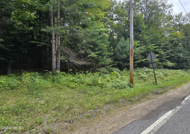 Photo 3 of Land for sale at 608 S Shore Rd, Speculator, NY 12164 | MLS# 202625157 | Listing updated on 2026-09-01