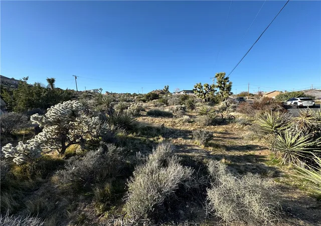 4th image of 0 Buena Suerta Rd, Yucca Valley, CA 92284 | MLS# JT24050274