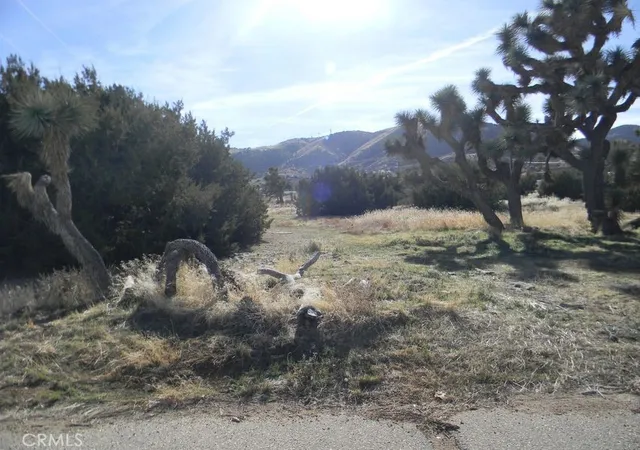 4th image of 0 Oliver Ln, Palmdale, CA 93551 | MLS# SR25060642