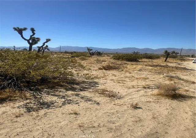 Photo 1 of Land for sale at 25311 E Ave H 8, Lancaster, CA 93535 | MLS# SR25127931 | Listing updated on 2025-11-04