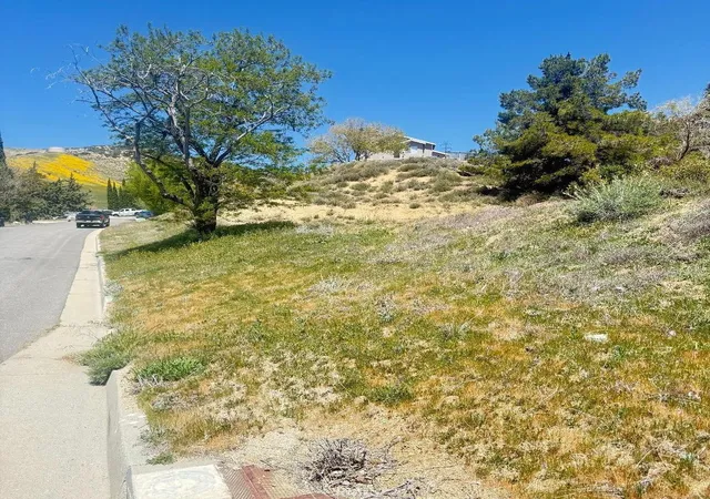 Homes for sale in Lake Hughes, CA | 1 Johnson Rd, Lake Hughes, CA 93532 | MLS# SR25182361