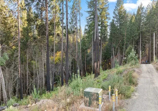Homes for sale in Berry Creek, CA | 0 Path In The Woods, Berry Creek, CA 95916 | MLS# OR25241103