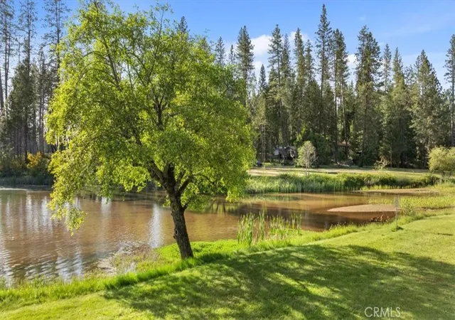 Homes for sale in Berry Creek, CA | 0 Path In The Woods, Berry Creek, CA 95916 | MLS# OR25241103