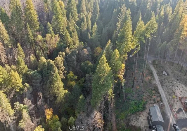 Homes for sale in Berry Creek, CA | 0 Path In The Woods, Berry Creek, CA 95916 | MLS# OR25241103