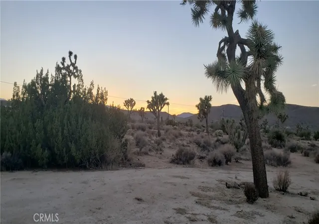 1st image of 1234 Canton St, Yucca Valley, CA 92284 | MLS# JT25242301