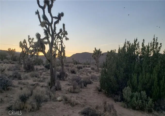 3rd image of 1234 Canton St, Yucca Valley, CA 92284 | MLS# JT25242301