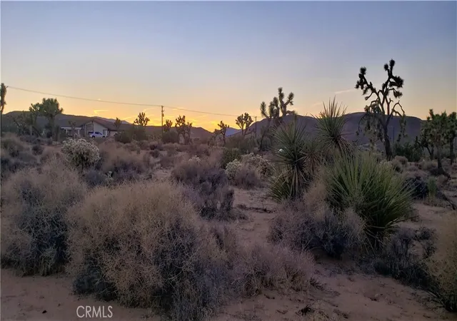 4th image of 1234 Canton St, Yucca Valley, CA 92284 | MLS# JT25242301