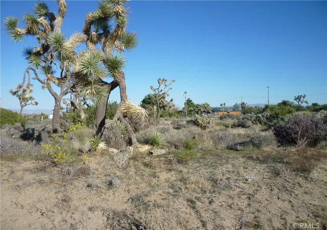 5th image of 1234 Canton St, Yucca Valley, CA 92284 | MLS# JT25242301