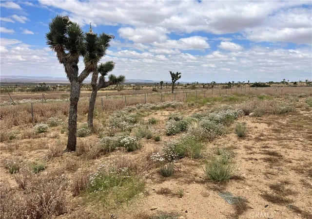 1st image of 0 Vac/vic Bobs Gap Rd/175 Ste, Llano, CA 93544 | MLS# HD25253479