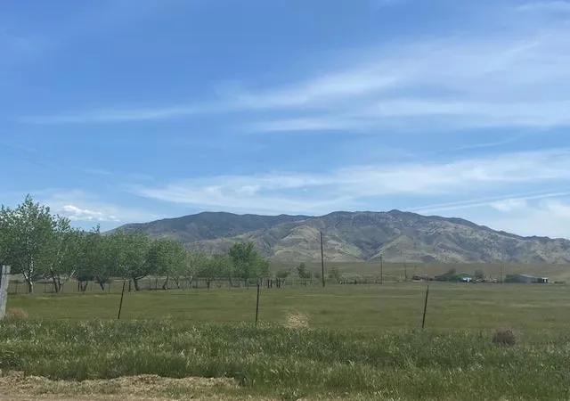 4th image of 33941 Panoche Rd, Paicines, CA 95043 | MLS# ML81867513