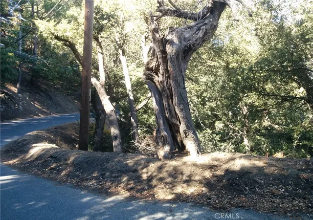 Photo 3 of Land for sale at 0 Chillion Dr, Crestline, CA 92325 | MLS# EV21269842 | Listing updated on 2026-06-30