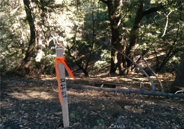 Photo 4 of Land for sale at 0 Chillion Dr, Crestline, CA 92325 | MLS# EV21269842 | Listing updated on 2026-06-30