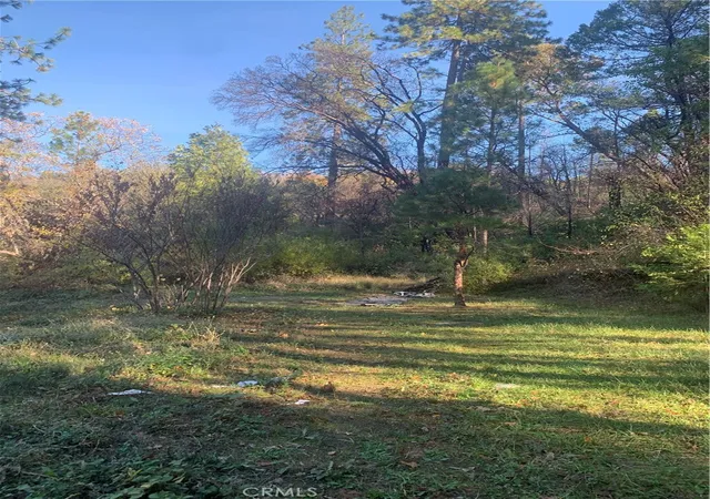 Photo 1 of Land for sale at 0 Four Trees Road, Oroville, CA 95965 | MLS# SN22052589 | Listing updated on 2026-06-19