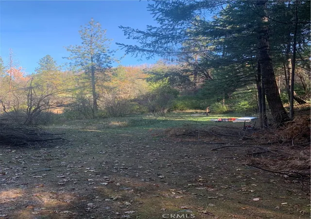 Photo 2 of Land for sale at 0 Four Trees Road, Oroville, CA 95965 | MLS# SN22052589 | Listing updated on 2026-06-19
