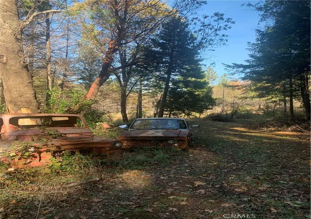 Photo 3 of Land for sale at 0 Four Trees Road, Oroville, CA 95965 | MLS# SN22052589 | Listing updated on 2026-06-19