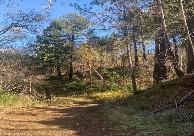 Photo 4 of Land for sale at 0 Four Trees Road, Oroville, CA 95965 | MLS# SN22052589 | Listing updated on 2026-06-19