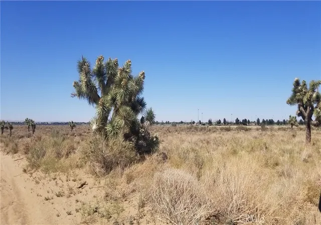 Photo 1 of Land for sale at 25 E Avenue L4, Palmdale, CA 93552 | MLS# SR22071512 | Listing updated on 2026-03-16