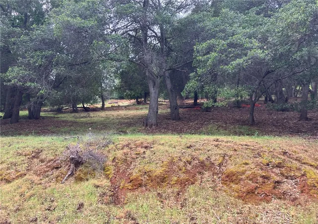 Photo 3 of Land for sale at 3153 Southlake Dr, Kelseyville, CA 95451 | MLS# LC22080798 | Listing updated on 2026-06-25